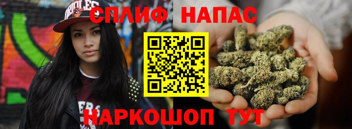 Бошки марихуана Ganja  Конопля конопля  Сунжа  Бошки марихуана план  Вход с VPN  МАРИХУАНА Bruce Banner 